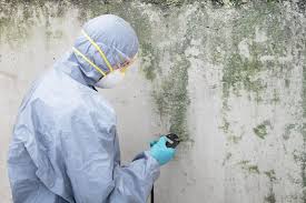 Best Mold Odor Removal Services  in Middletown, MD